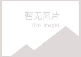 五大连池之桃咨询有限公司